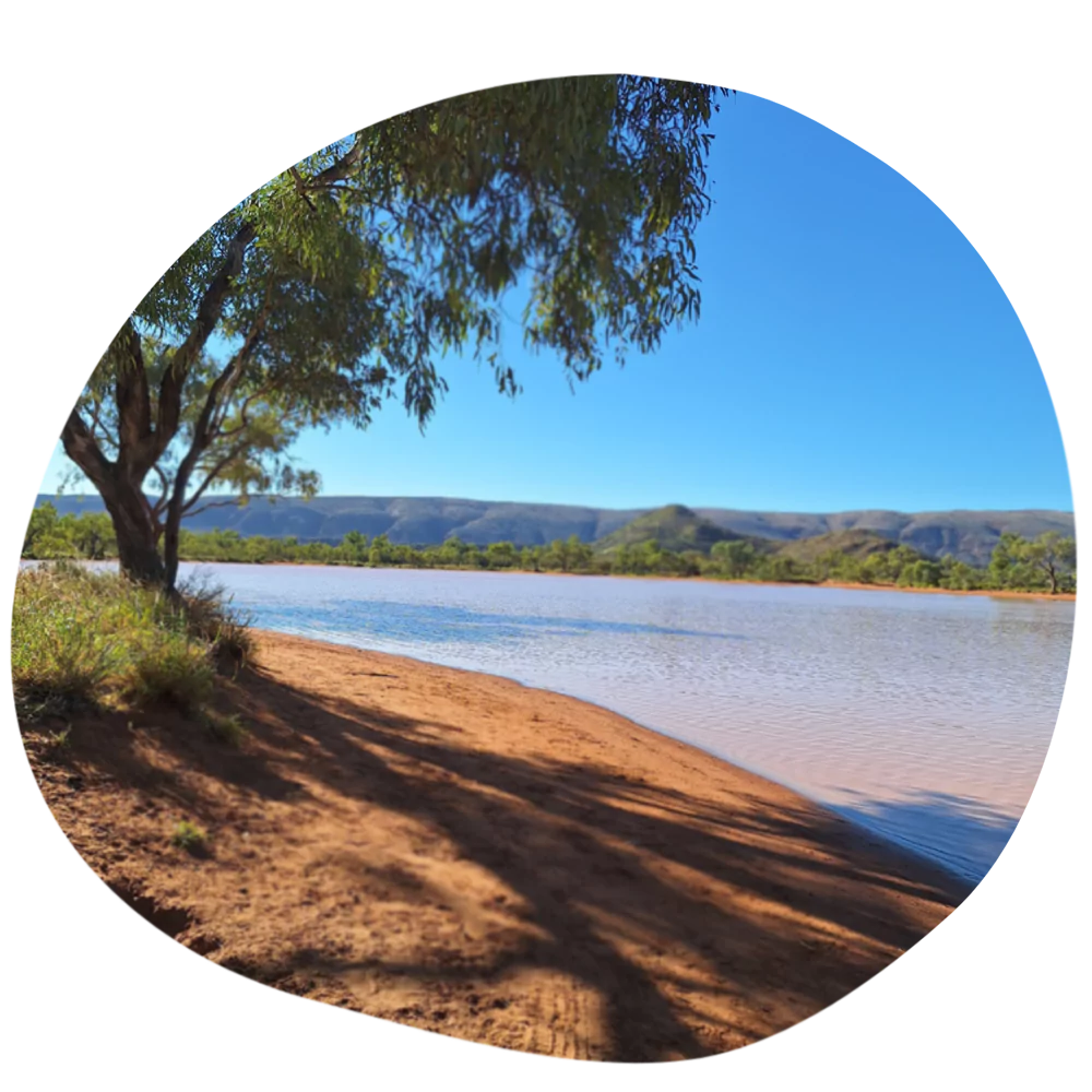 A photo of one of our local lakes in Alice Springs